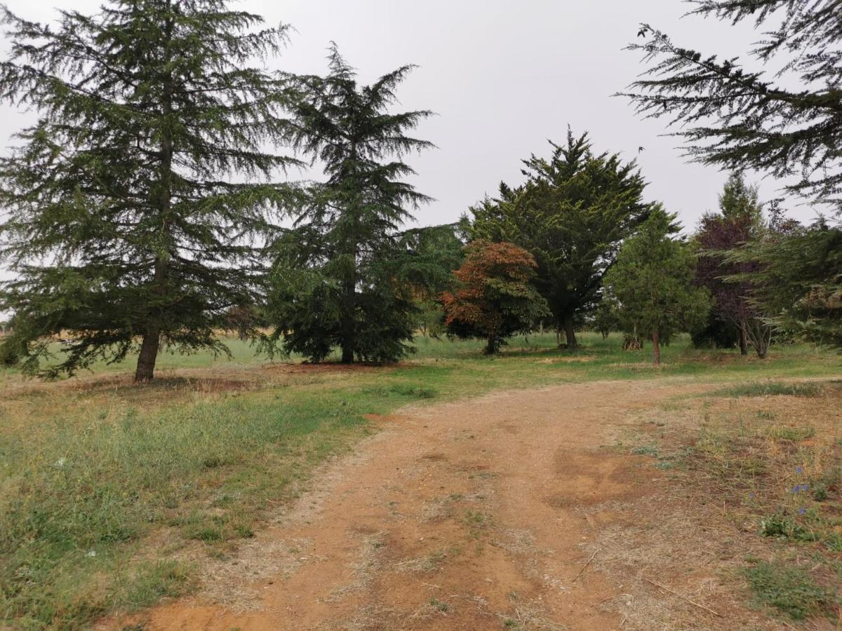 Casa Chalet En El Campo Barbadillo Екстер'єр фото