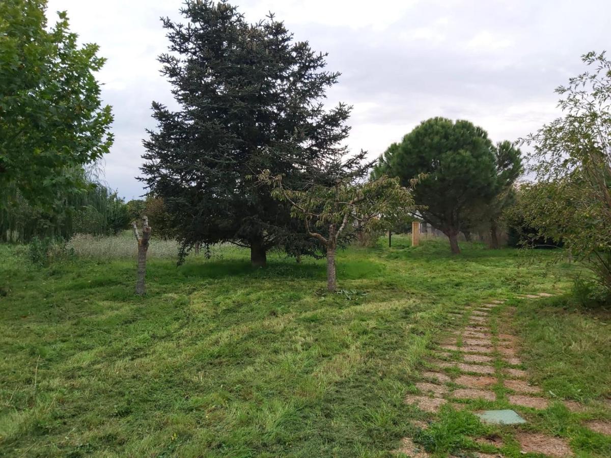 Casa Chalet En El Campo Barbadillo Екстер'єр фото