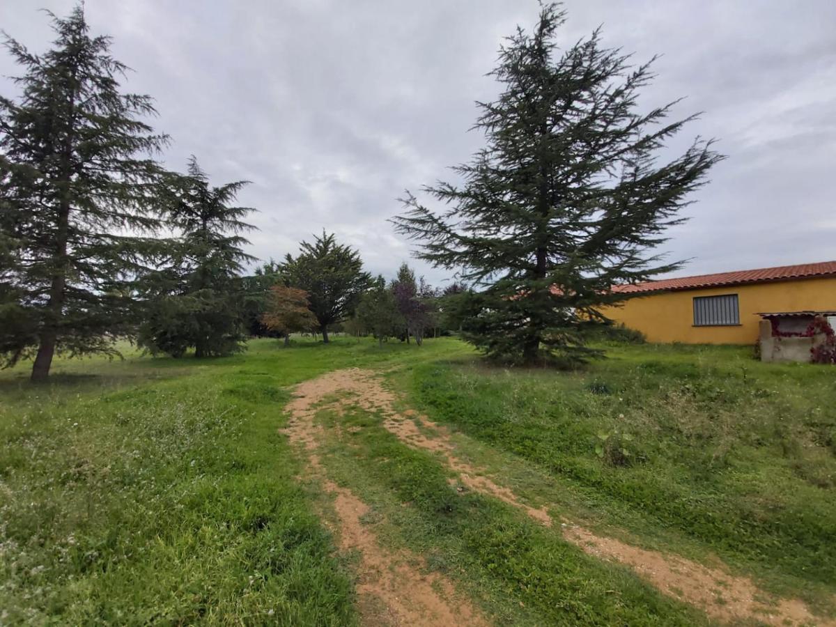 Casa Chalet En El Campo Barbadillo Екстер'єр фото