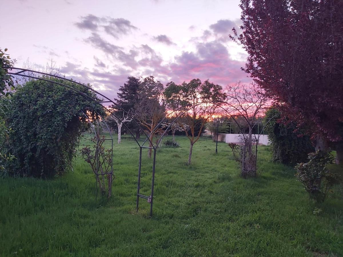 Casa Chalet En El Campo Barbadillo Екстер'єр фото