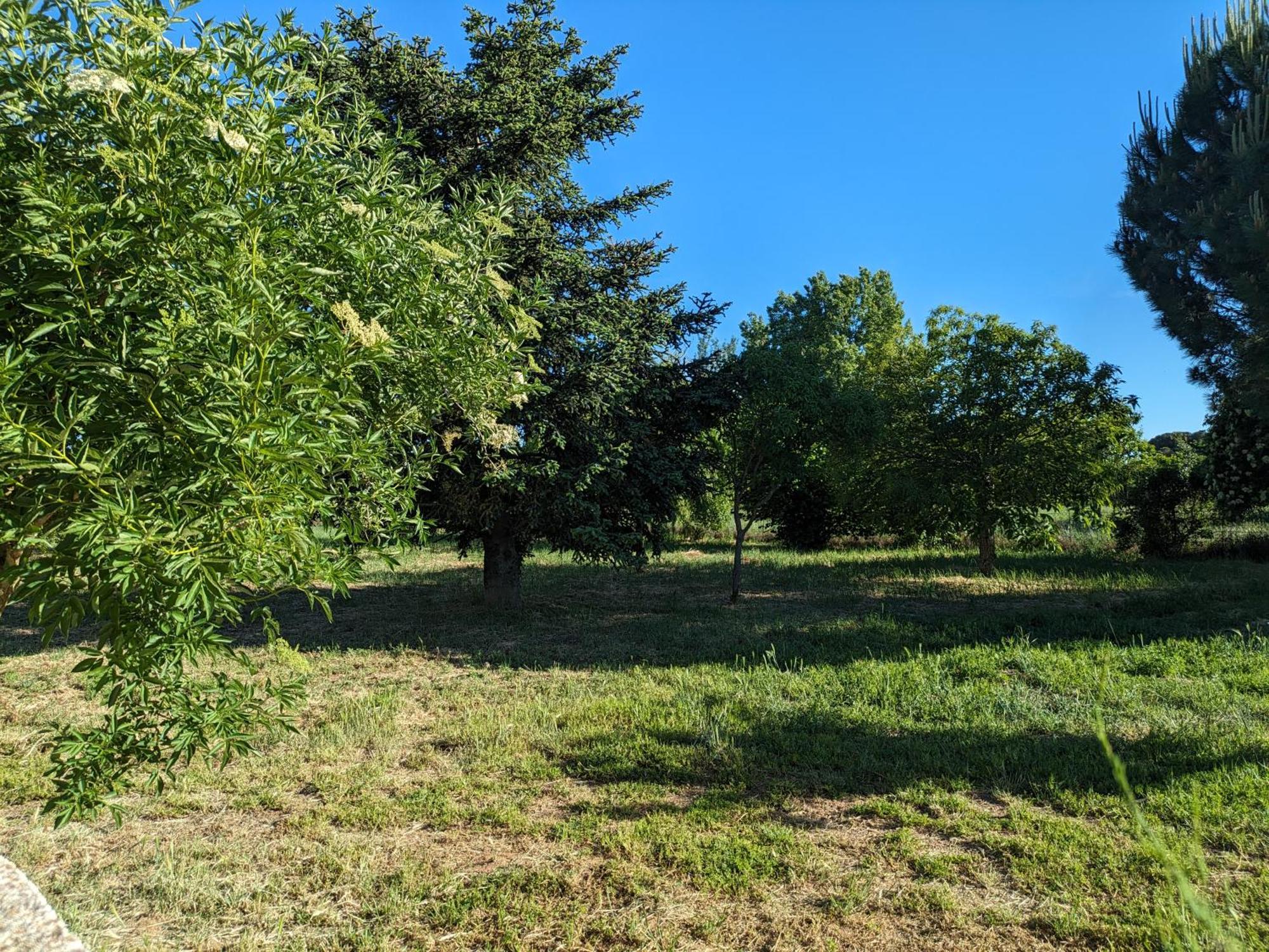 Casa Chalet En El Campo Barbadillo Екстер'єр фото